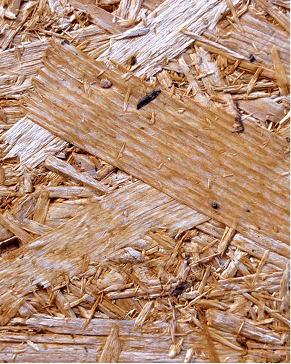 Tekstura lesenih materialov